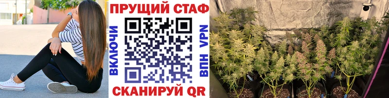 Купить наркотик аптеки Псков Галлюциногенные грибы blacksprut зеркало ГАШ Меф Марихуана АМФЕТАМИН Cocaine