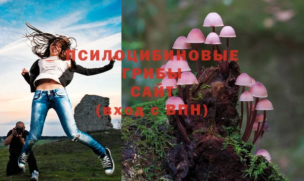 марки nbome Нязепетровск