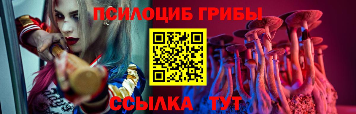 Псков  где купить наркотик  Вход с VPN  Галлюциногенные грибы мухоморы 